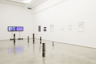 Parasitic Gaps (organized by Miriam Katzeff), installation view