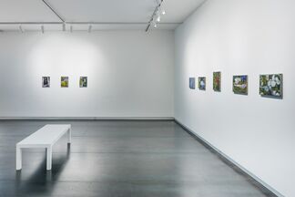 The Coldest Night, installation view