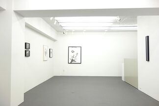"YEN" by Éi Kaneko, installation view