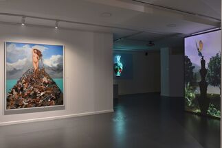 Mixed Realities, installation view