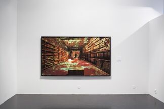 Steinar Christensen - Still Lifes, installation view