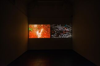 Hangjun Lee: Nebula Rising, installation view