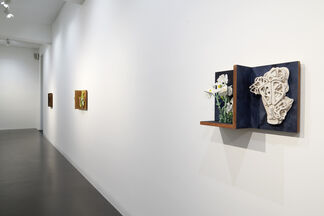 ANDY OUCHI  "SUNSET RIDGE", installation view
