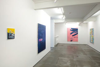 Bruno Dunley, installation view