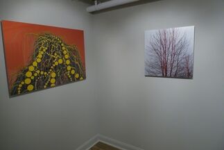 Lisa Stefanelli: Whose These Are, installation view