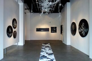 Of Woods and Wonderlands: Dual Exhibition by Pang Yun and Li Yuming, installation view