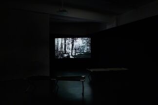 Screening, installation view