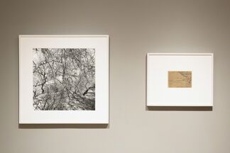 Lee Friedlander & Pierre Bonnard: Photographs & Drawings, installation view