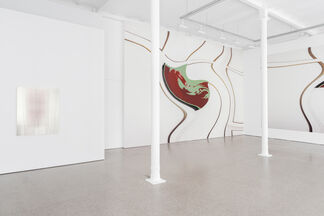 Distorted for the times, installation view