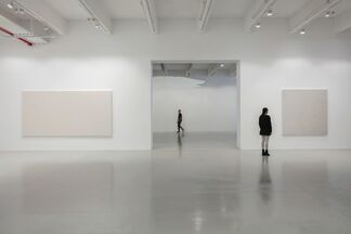 Mark Wallinger. Study for Self Reflection, installation view