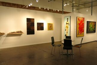 Beatriz Esguerra Art at Dallas Art Fair 2014, installation view
