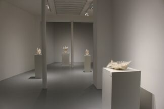 "Les Promesses du Feu" - Yuki Nara, installation view