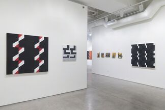 Recollected Forms, installation view
