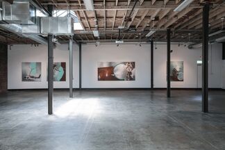 Fifth Anniversary Collective, installation view