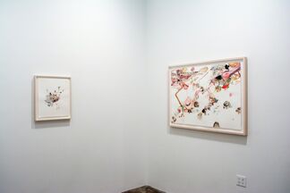 Emilie Clark: Everything Drawings, installation view