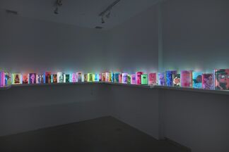 Airan Kang, installation view