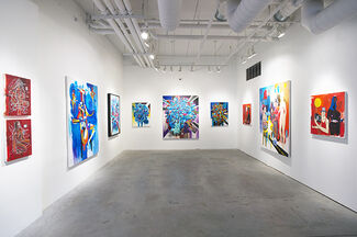 Doze Green, Out of Knowhere, installation view