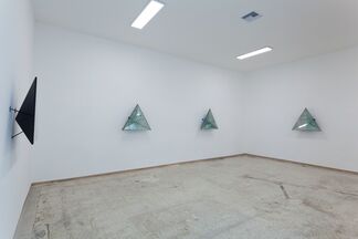 Brookhart Jonquil: Endless Light in an Endless Night, installation view