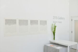 Plants with Stripes, installation view