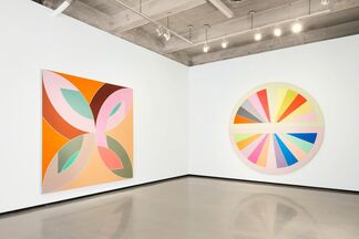Frank Stella: Shape as Form, installation view