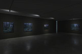 Lee Kwang-Ho, installation view