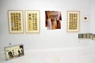 Fuck Off Generation: Chinese Art in The Post-Mao Era Part II, installation view