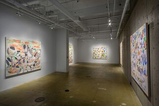 Peter Young: Ellipse Paintings, installation view