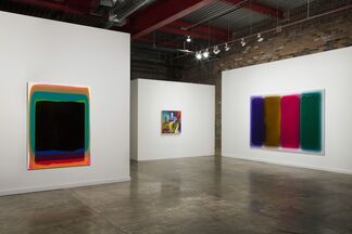 Color-aid, installation view