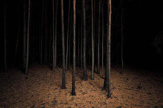 Jasper Goodall: Nocturnal Landscape - selected works - Part I, installation view