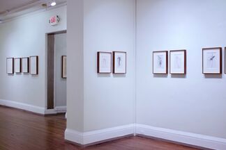 Jonathan Silver, Drawings and Heads, installation view