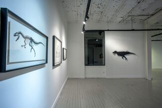 The Century on Low Heat, installation view