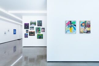 Oh Canada!, installation view