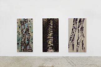Robert Zandvliet «Trunk», installation view