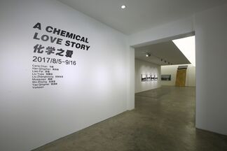 A Chemical Love Story, installation view
