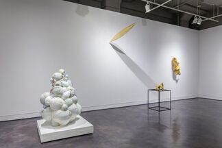 A Golden Age, installation view