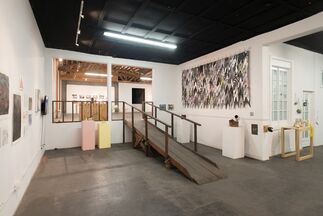 The Panacea Project, installation view