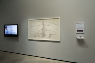 Two Trees and a Mountain ─ Shi Jin-Hua Solo Exhibition, installation view
