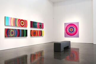 Franco DeFrancesca - "Spin Cycle Matrix", installation view