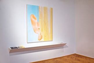 Susanne Kühn. Palette, installation view