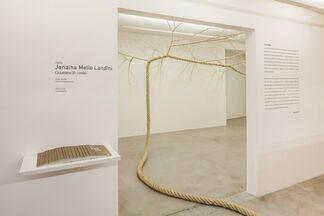 Janaina Mello Landini | Ciclotrama Onda - 20, installation view