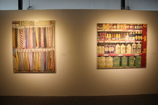 Beautiful Life in Reality, installation view
