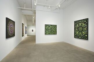 Reflecting Pool, installation view