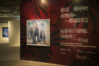 We Are Each Other’s Destiny - An Artistic Embrace of Endangered Animals, installation view