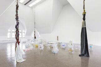 Liz Magor: BLOWOUT, installation view