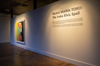 The Iruka Elvis Spell, installation view