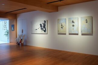 Souun Takeda solo exhibition "Shinka", installation view