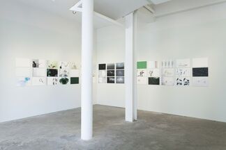 Paula Hayes, Lucid Green, installation view