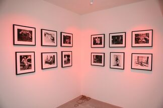 The Solo Exhibition of Nobuyoshi Araki, installation view