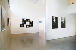 Seeing the Unseen, installation view