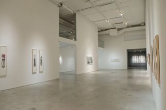 Best Time of Year Falls in March, Peng Xiancheng, installation view